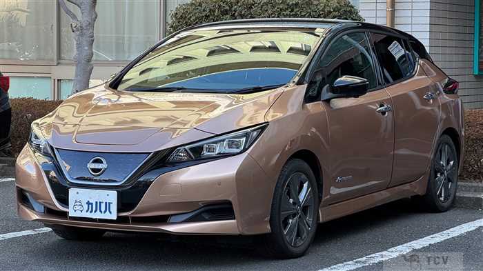 2021 Nissan Leaf