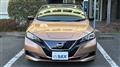 2021 Nissan Leaf