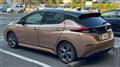 2021 Nissan Leaf