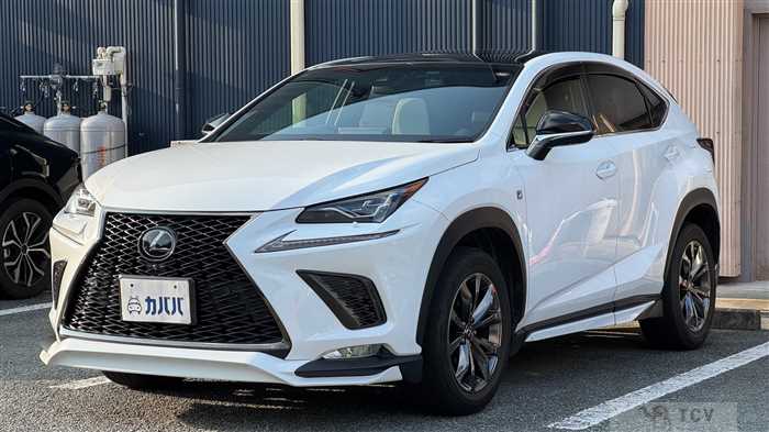2018 Lexus NX