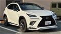 2018 Lexus NX