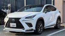 2018 Lexus NX