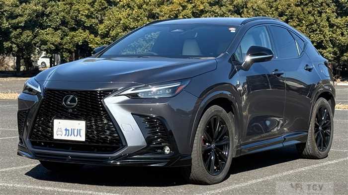 2023 Lexus NX