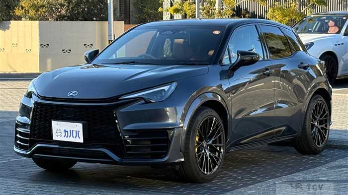 2025 Lexus Other