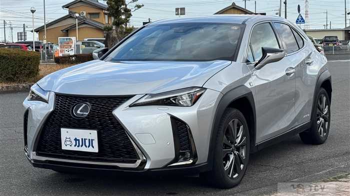 2019 Lexus UX