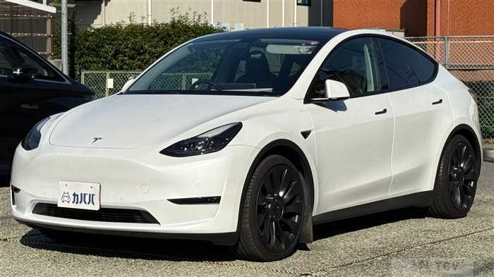 2024 Tesla Motors Others