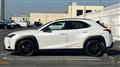 2021 Lexus UX