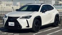 2021 Lexus UX