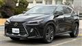 2021 Lexus NX