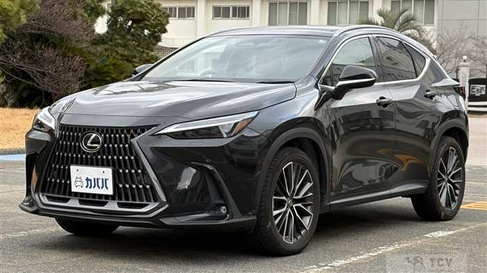 2021 Lexus NX