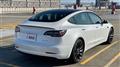 2020 Tesla Motors Others