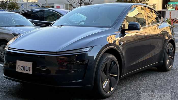 2025 Tesla Motors Others