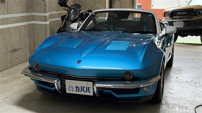 2019 Mitsuoka Mitsuoka Others