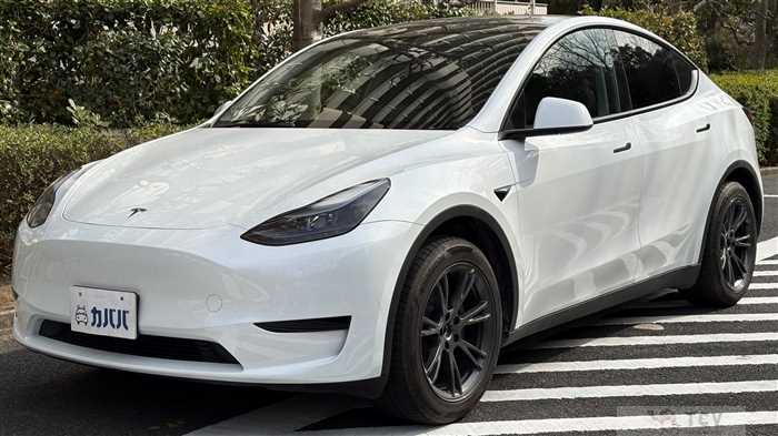 2025 Tesla Motors Others