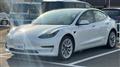 2021 Tesla Motors Others