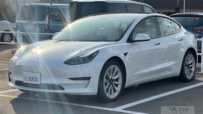 2021 Tesla Motors Others