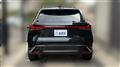 2025 Lexus RX