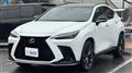 2021 Lexus NX