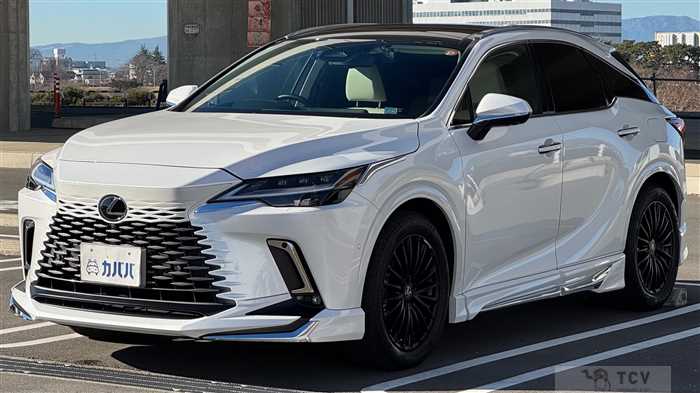 2024 Lexus RX
