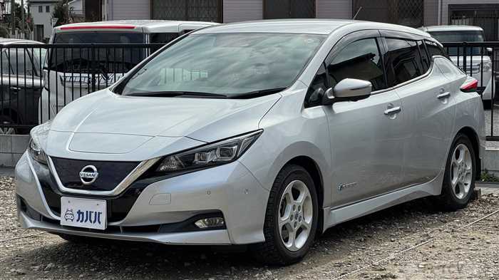 2018 Nissan Leaf