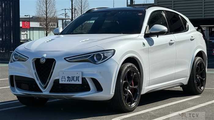 2021 Alfa Romeo Alfa Romeo Others