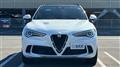 2021 Alfa Romeo Alfa Romeo Others