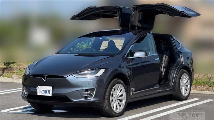 2020 Tesla Motors Others