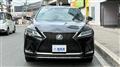 2020 Lexus RX