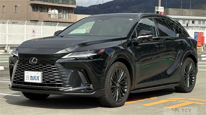 2023 Lexus RX