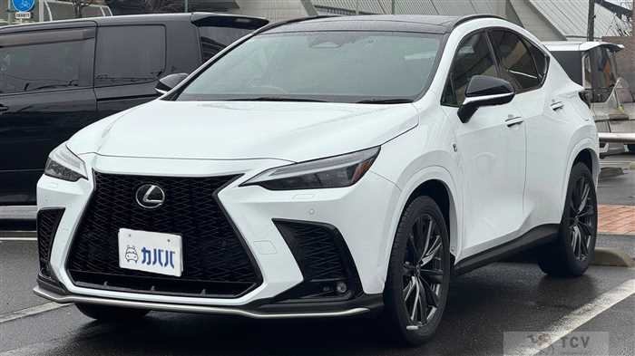 2021 Lexus NX