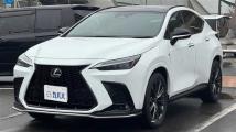 2021 Lexus NX