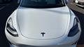 2021 Tesla Motors Others