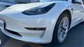 2021 Tesla Motors Others