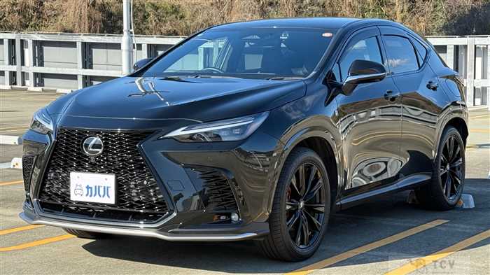 2024 Lexus NX