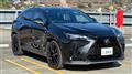 2024 Lexus NX