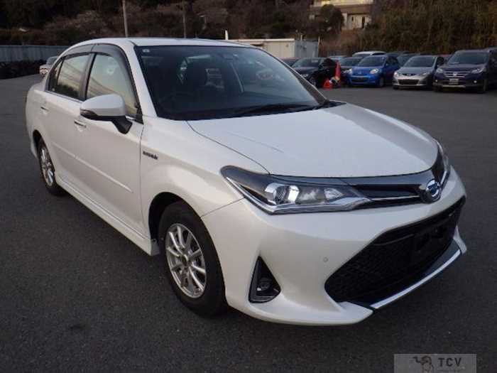 2019 Toyota Toyota Others