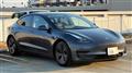 2021 Tesla Motors Others