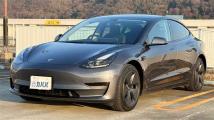 2021 Tesla Motors Others