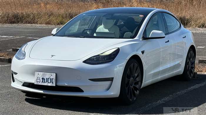 2021 Tesla Motors Others