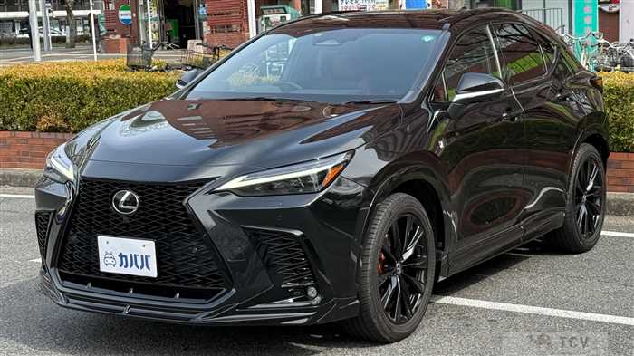 2023 Lexus NX