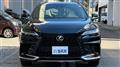 2025 Lexus RX