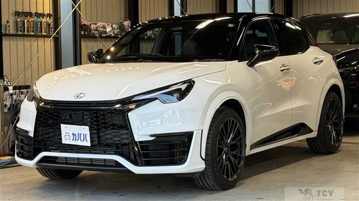 2024 Lexus Other