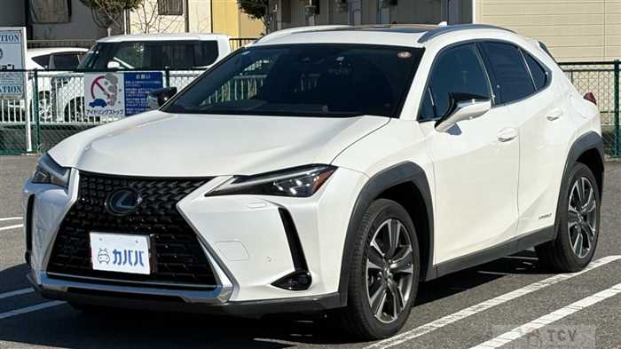2019 Lexus UX
