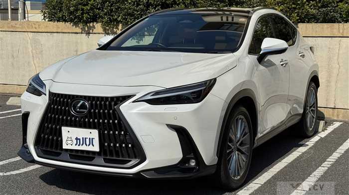 2023 Lexus NX