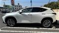 2023 Lexus NX