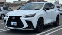 2023 Lexus NX