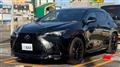 2025 Lexus NX
