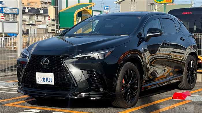 2025 Lexus NX