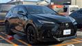 2025 Lexus NX