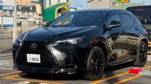 2025 Lexus NX